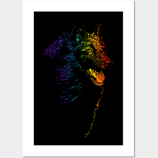 Rainbow Groenendael Posters and Art